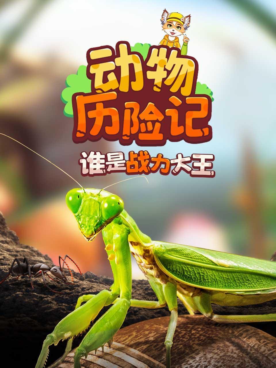 动物历险记谁是战力大王