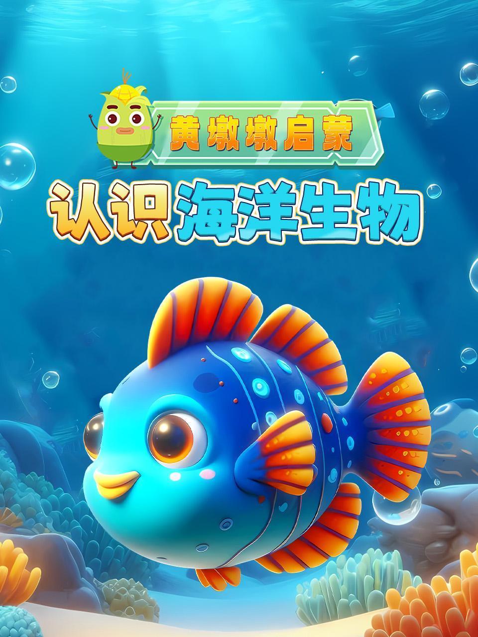 黄墩墩启蒙:认识海洋生物