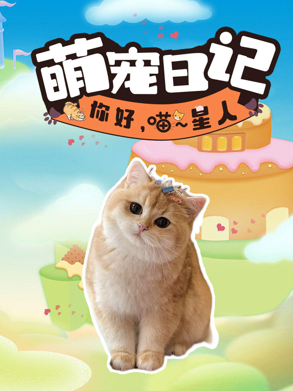 萌宠日记:你好喵星人