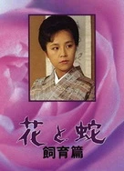 日本不卡不码高清免费